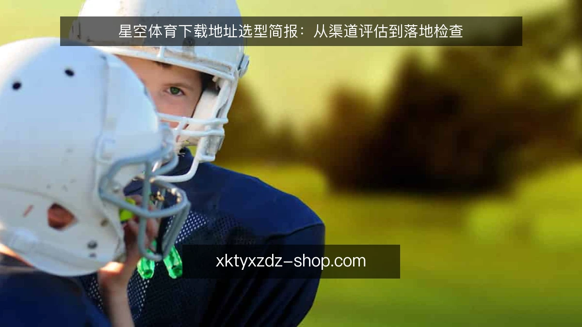 星空体育下载地址选型简报:从渠道评估到落地检查